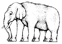 Elephant Illusion - Kids Optical Illusions