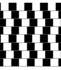 Parallel Lines Illusion - Kids Optical Illusions