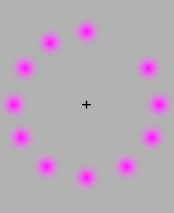 Pink Dots Optical Illusion - Kids Optical Illusions