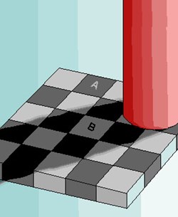Optical Illusions for Kids